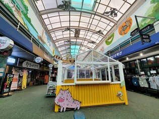 "파주 문산시장에서 물건 사면 DMZ 관광이 무료"