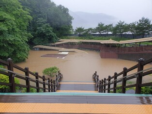 단양 고수동굴·온달동굴 침수…전면 휴장