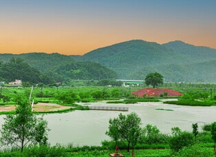 영월 동서강정원 청렴포원 느티나무 섬 환상 풍경