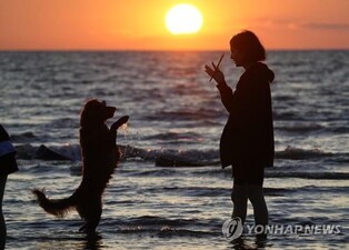 외로움과 마주하며 살아가기…독일 작가의 에세이 '홀로'