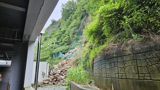 '암반 붕괴 우려' 여수 오동도 동백공영주차장 폐쇄