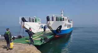 안산 풍도·육도, 주말 여객선 증편…당일 여행길 활짝
