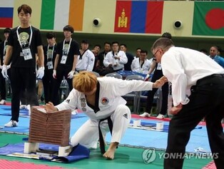 성남시, '세계태권도한마당' 20일 전야제 취소…수해 예방 집중