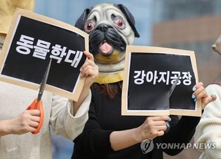 개 등 1천여마리 굶겨 죽인 60대 항소심도 '징역 3년'