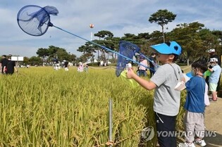 김제 지평선축제 56개 프로그램 확정…"과감한 변화"