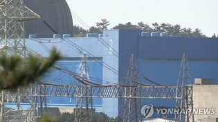 Nuclear reactor in southern S. Korea comes to halt during electricity transmission test
