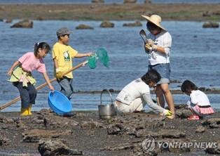 "조개 잡고 놀아볼까"…성산 조개바당 축제 29일 개막