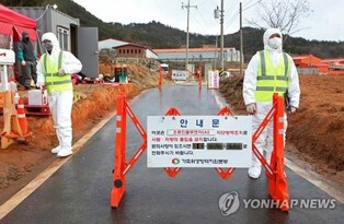 S. Korea confirms avian influenza cases in cats for first time in 7 years