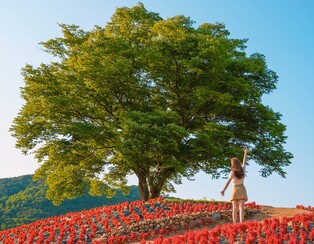 올해 상반기 SNS 영월군 언급량 지난해 대비 27% 급증