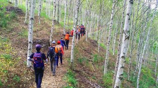 양구군 "다양한 테마로 구성한 시티투어 즐겨 보세요"
