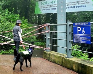 서울 반려견 순찰대, 침수피해도 예방…위험요소 187건 신고