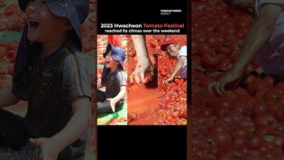 Korean Tomato Bomb Festival