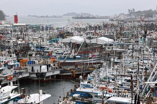[태풍 카눈] "피해 없도록" 여수 관광지 통제·여객선 대피 분주