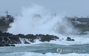 Typhoon Khanun on path to make landfall on S. Korea's southern coast