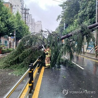 (3rd LD) Typhoon causes flood, wind damage while heading north slowly