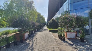 순천만국가정원에 무궁화꽃이 활짝 피었습니다