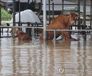 Yoon designates 2 special disaster zones following Typhoon Khanun