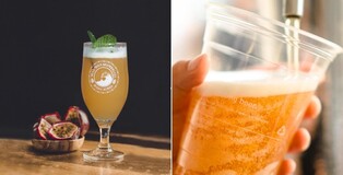 부산관광공사·와일드웨이브, 기장 꿀 활용 수제 맥주 개발