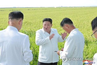 N. Korean leader calls for efforts to minimize typhoon damage to crops