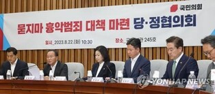 Gov't, PPP agree on set of countermeasures against random crimes