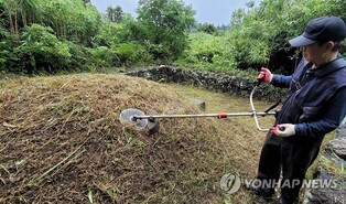 제주소방 "추석 전 벌초 때 예초기 등 안전사고 주의"