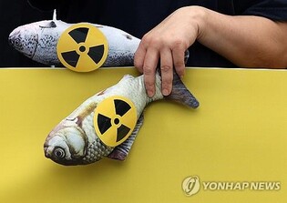 S. Korea accepts Japan's Fukushima decision as member of int'l community: oceans minister