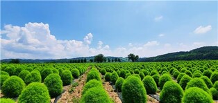 연천군, 가을 맞아 9∼11월 다양한 축제 열어