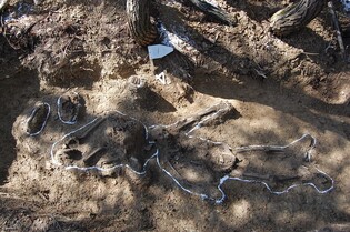 Gov't identifies remains of another Korean War soldier