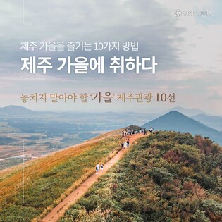 "제주 가을에 취하다"…놓치지 말아야 할 제주관광 10선