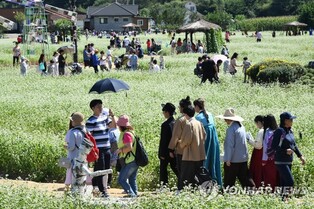 평창군, 효석문화제·농악축제 등 지역축제 안전관리에 만전