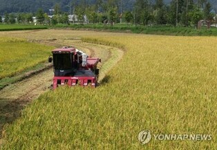 S. Korean gov't to buy 400,000 tons of rice for reserves