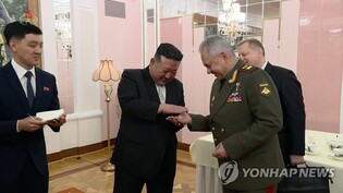 (2nd LD) N. Korea in active negotiations with Russia for arms deal: NSC