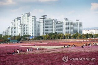 양주시, '천일홍 축제' 프로그램 참여자 모집