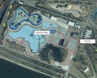 Seoul's first public dog pool to open at Han River park