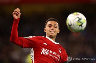 토트넘, 22세 골잡이 존슨 영입…손흥민과 A매치 대결