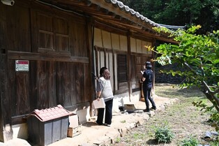 기후변화 속 흰개미의 위협…"외래종 국내 유입·정착 가능성↑"