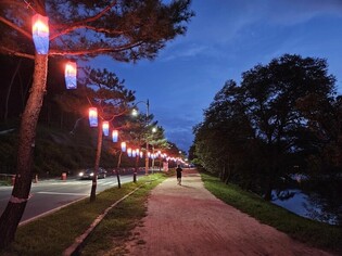 '달빛 품은 의림지 거닐어볼까'…제천 문화재 여행 8일 개막