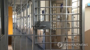 Inmates should not be subjected to solitary confinement for extended period: rights watchdog