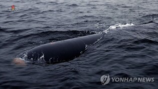N. Korea says it launched new 'tactical nuclear attack submarine'