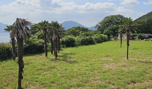 아름다운 '거제 공곶이', 수개월 방치돼 관광객 끊길 위기