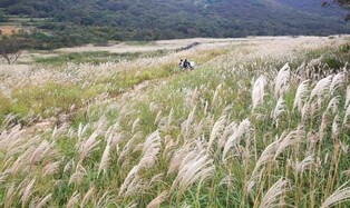 추석 연휴 어디 갈까…경남도, 시·군별 관광지 18선 추천