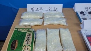 Housewife arrested for smuggling meth in sunflower seed bags