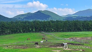 왜란·호란 때 군마 1천300마리 바친 '헌마공신 김만일'