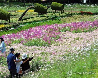 성큼 다가온 가을…휴일 유명 관광지·축제장 나들이객 '북적'