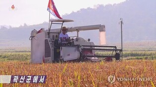 N. Korea spurs efforts to raise crop production during fall harvest season