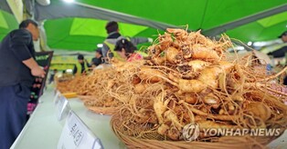 '건강하삼·훌륭하우'…홍천 인삼·한우 명품축제 6일 개막