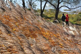 양평군, '물소리길' 용문~양동 신규 코스 개통