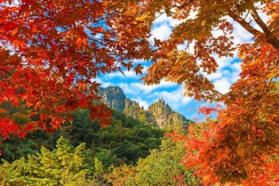 관광객 몰리는 단풍철…동해시, 손님맞이 관광 서비스 교육