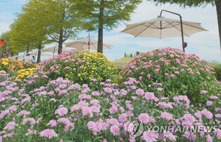 순천만정원박람회 관람객 800만명 돌파…"목표치 넘어"