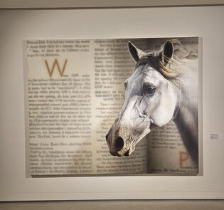 하이퍼리얼리즘으로 표현한 무형의 사유…이석주 특별기획전